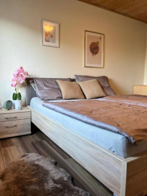 Gemütliche Wohnung/ cozy apartment Niklasdorf